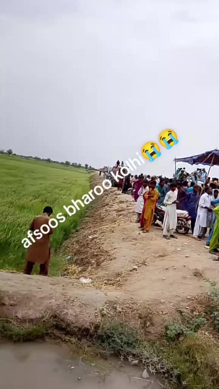 @❤️🩹ziddi 🤦