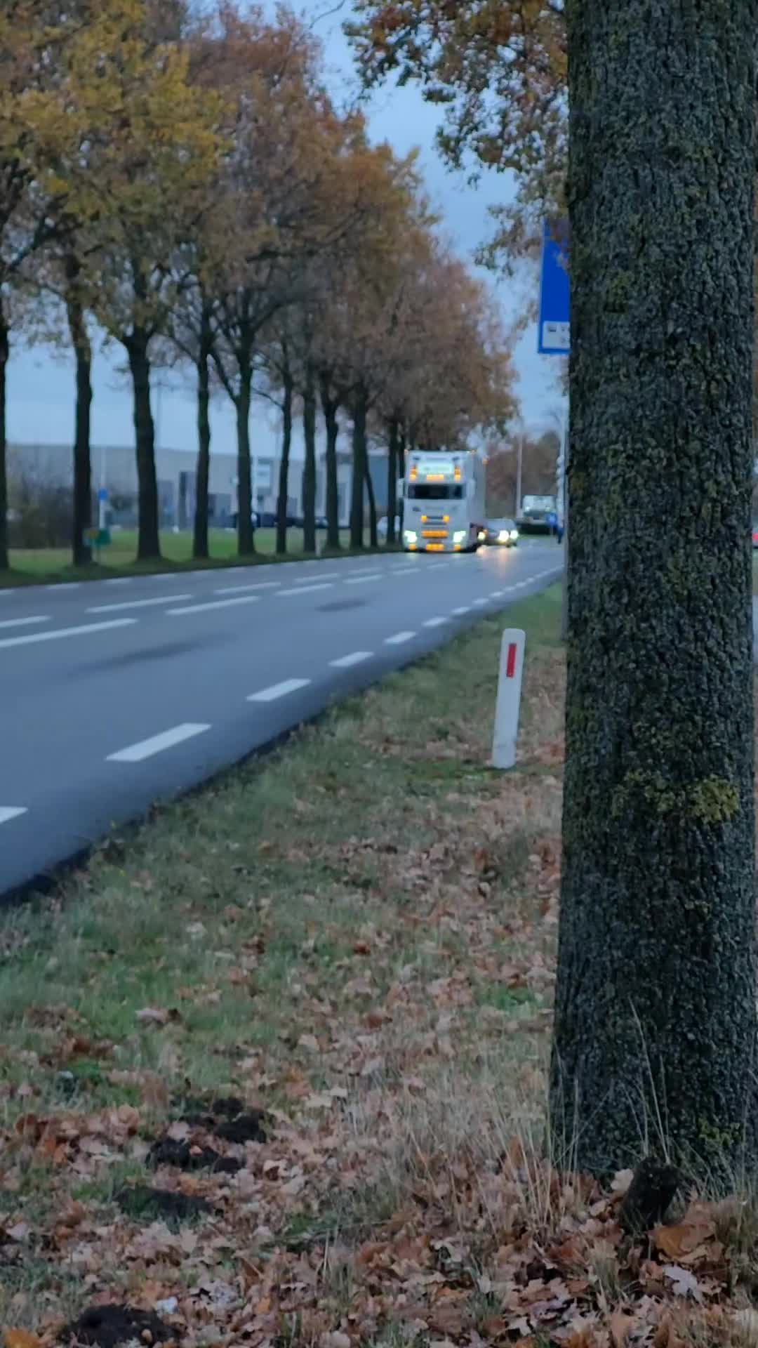 @🚛🤙🚨jp.truckfotografie🚨🤙🚛