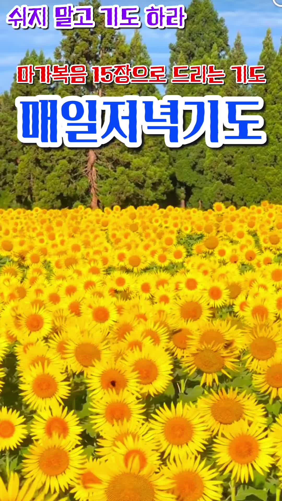 @피켓전도 김종일 목사