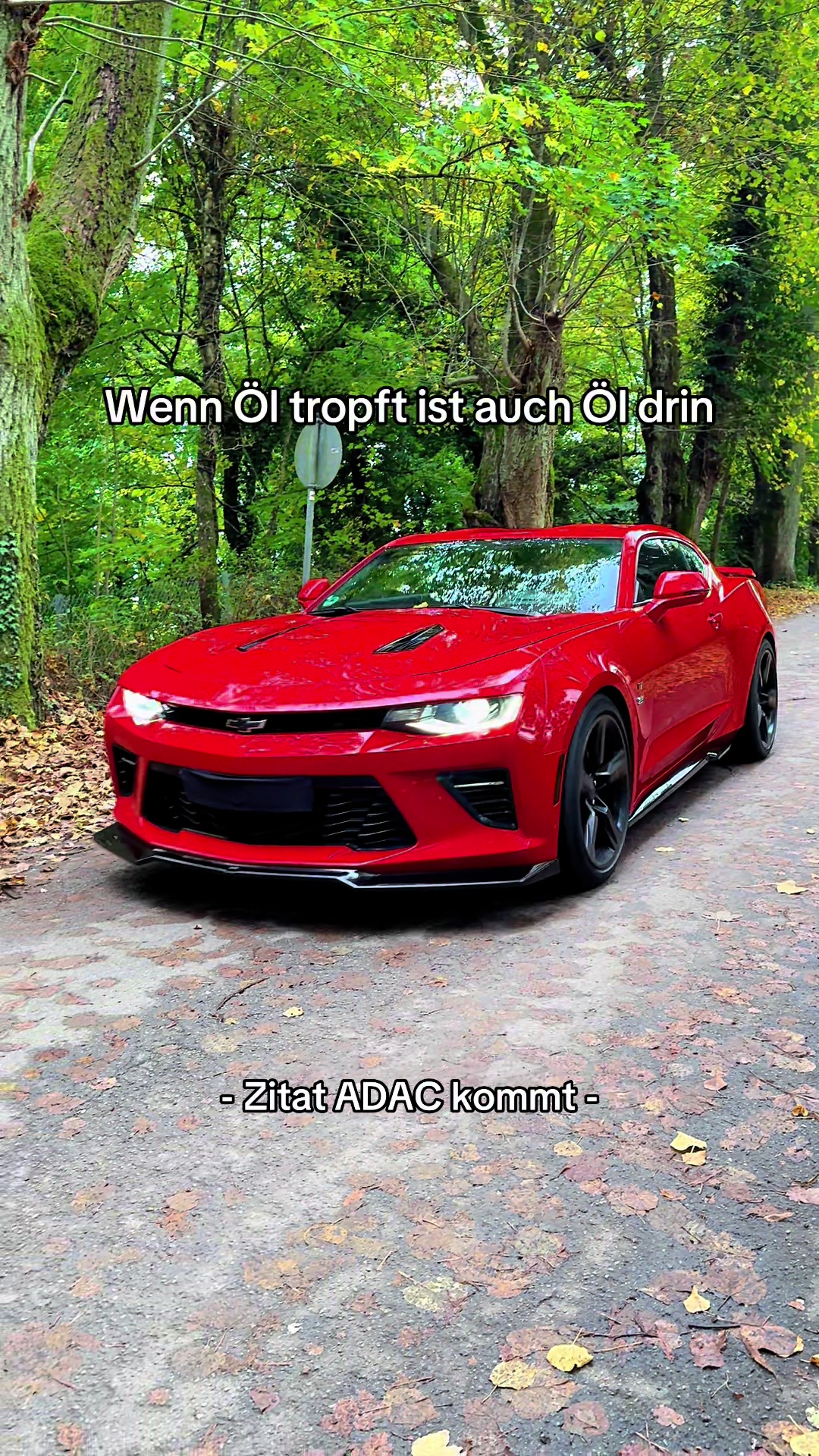 @Schlösser