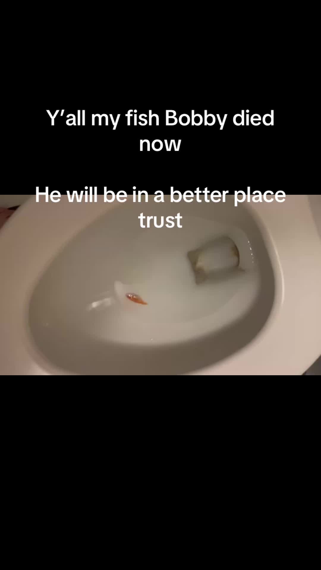 @Saraaaaaaaaaa