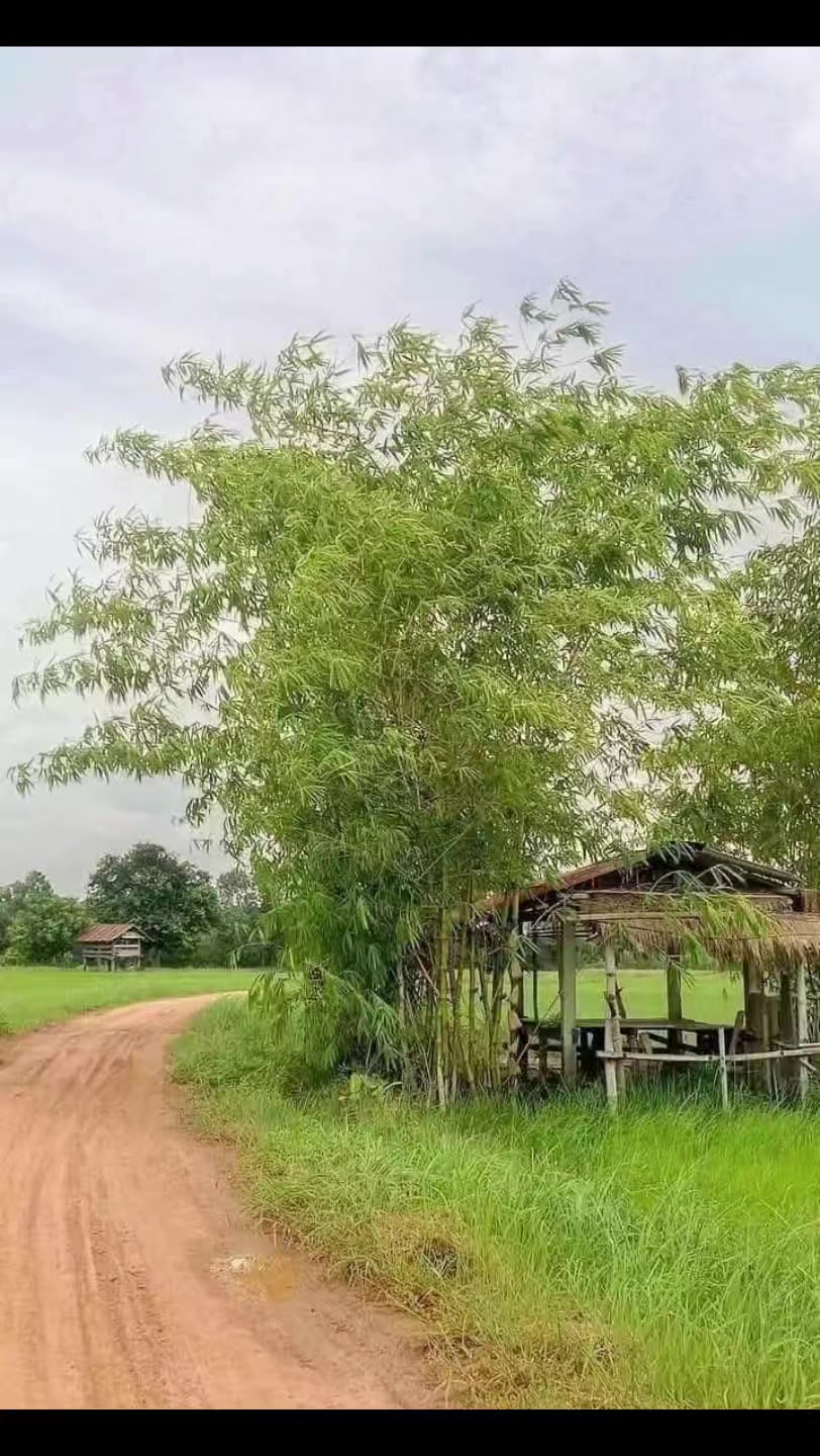 @เมษาราศีเมษ