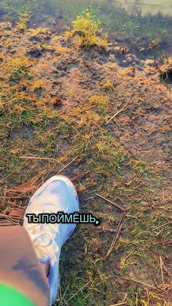 @☾︎ Nҽʂʂ&iota; ☽︎