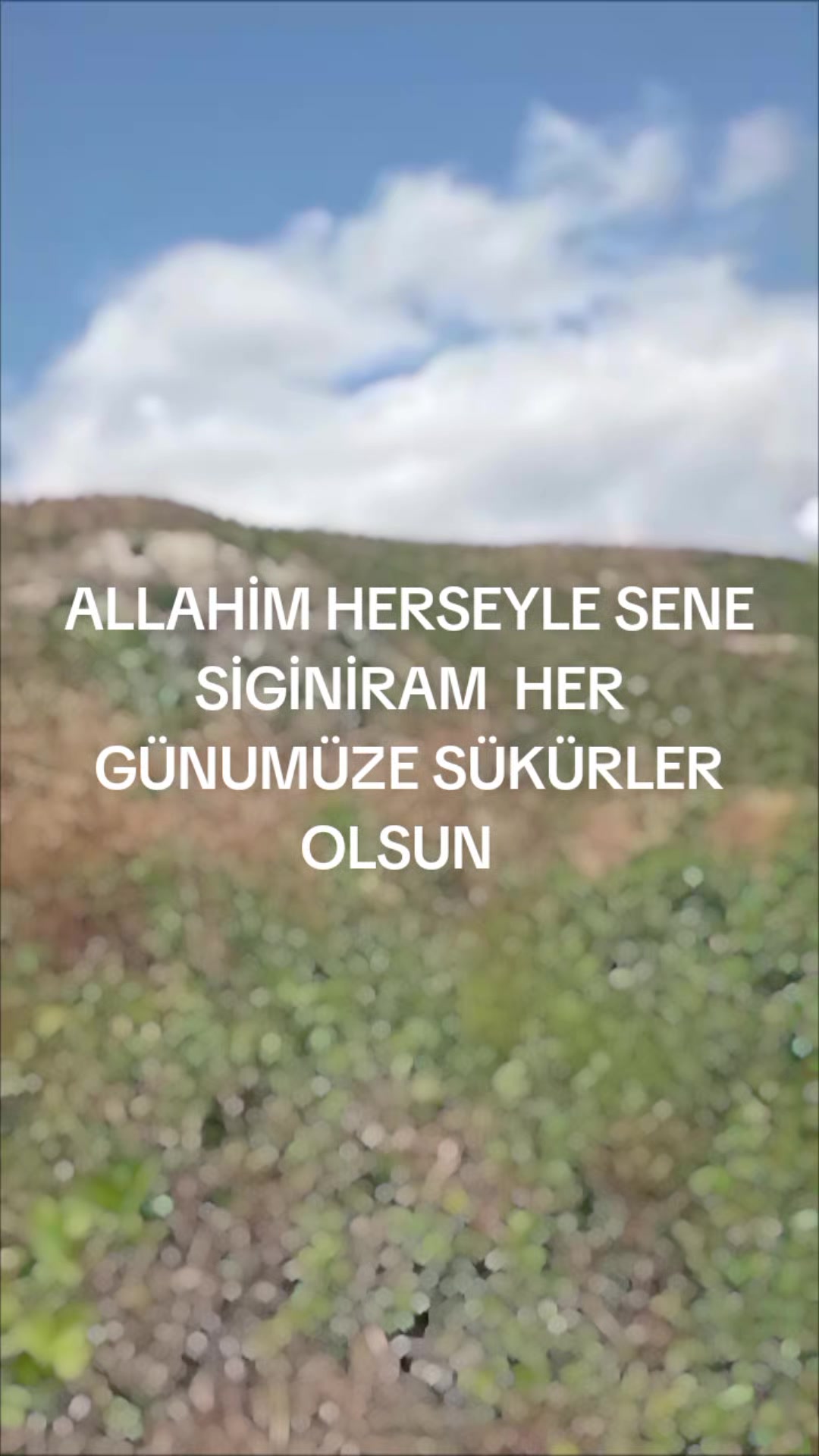 @TERANE NESİROVA
