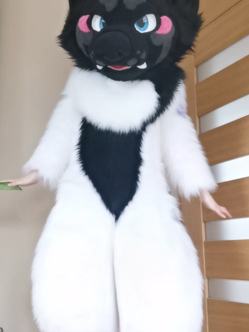 @novcree