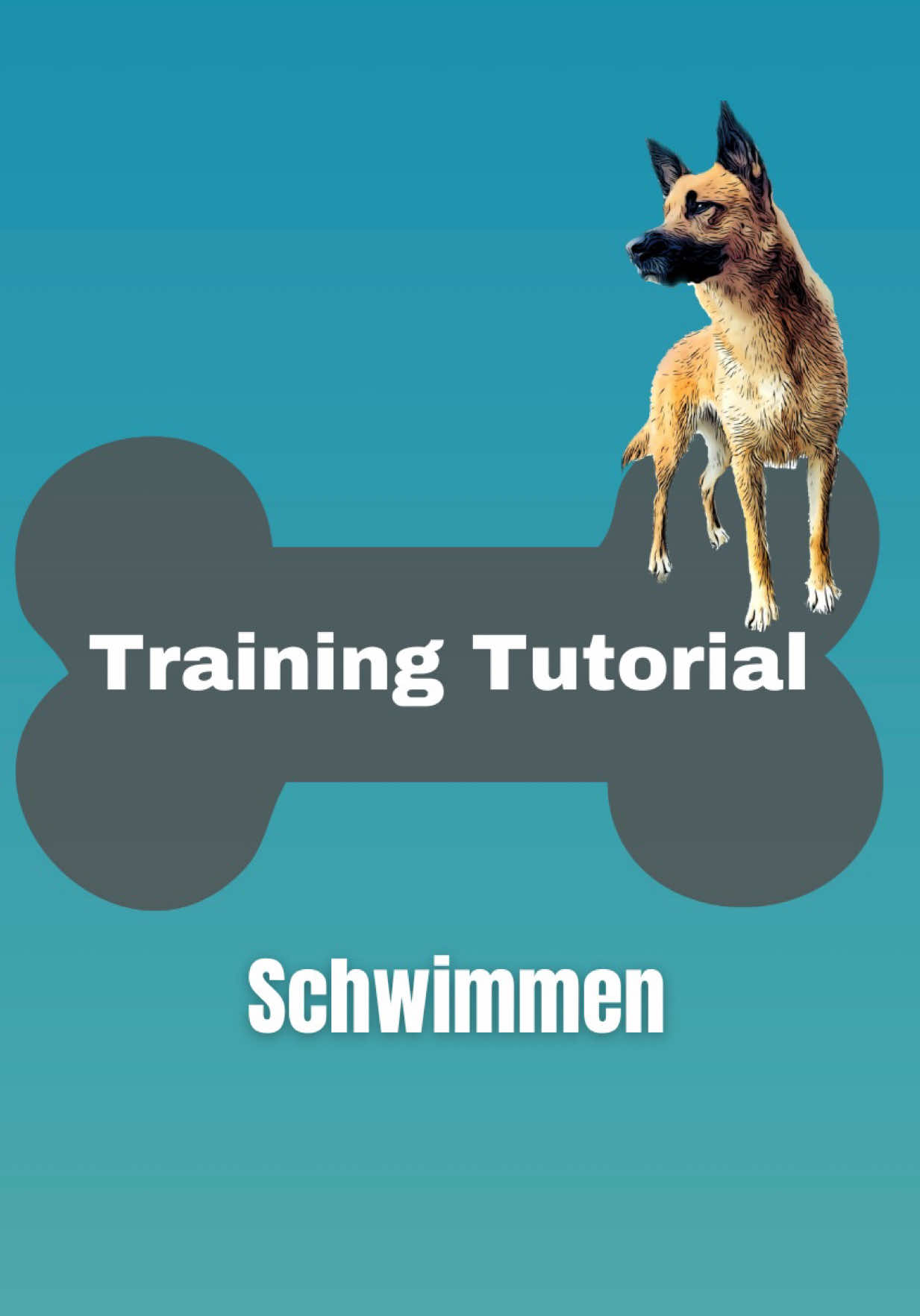 @INSAbenteuerHund