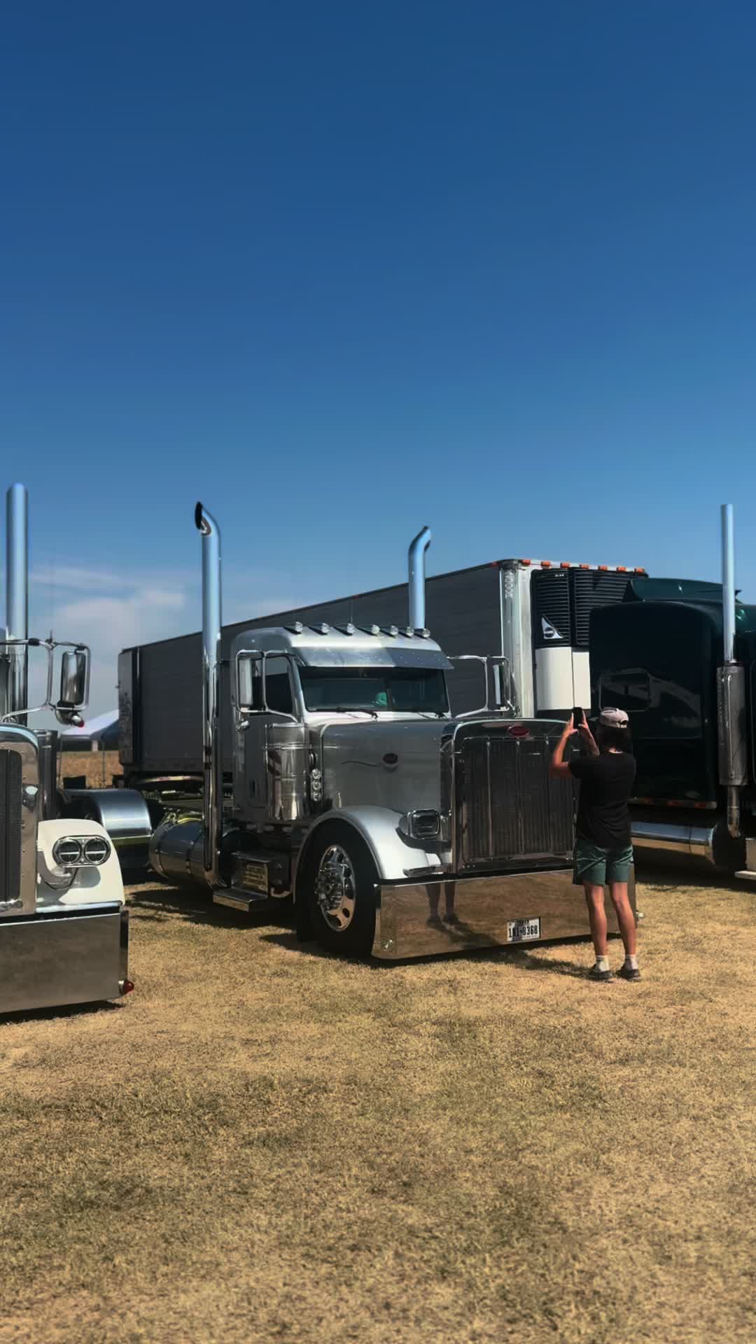 @jb_cattle