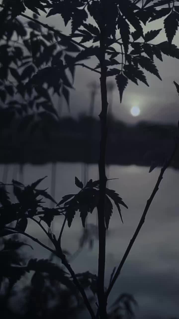 @ℙ𝕣𝕚𝕟𝕔𝕖𝕤𝕤👑𝑀🥀🫶