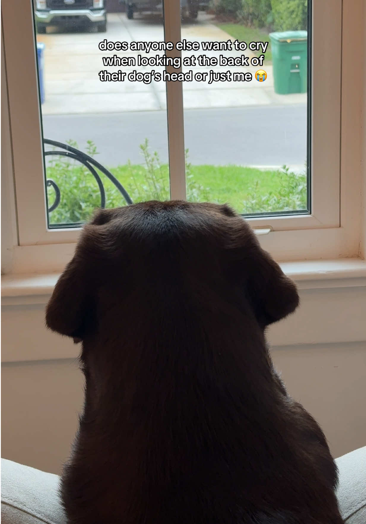 @chipthechonk