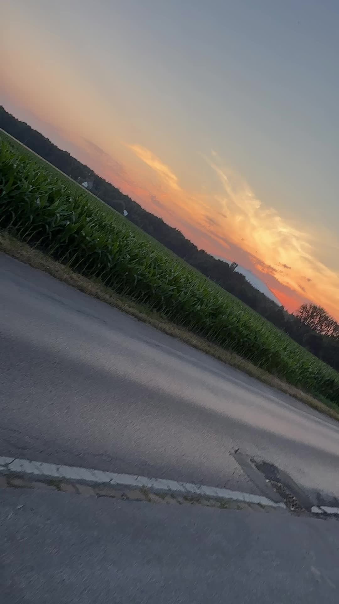@Svenja