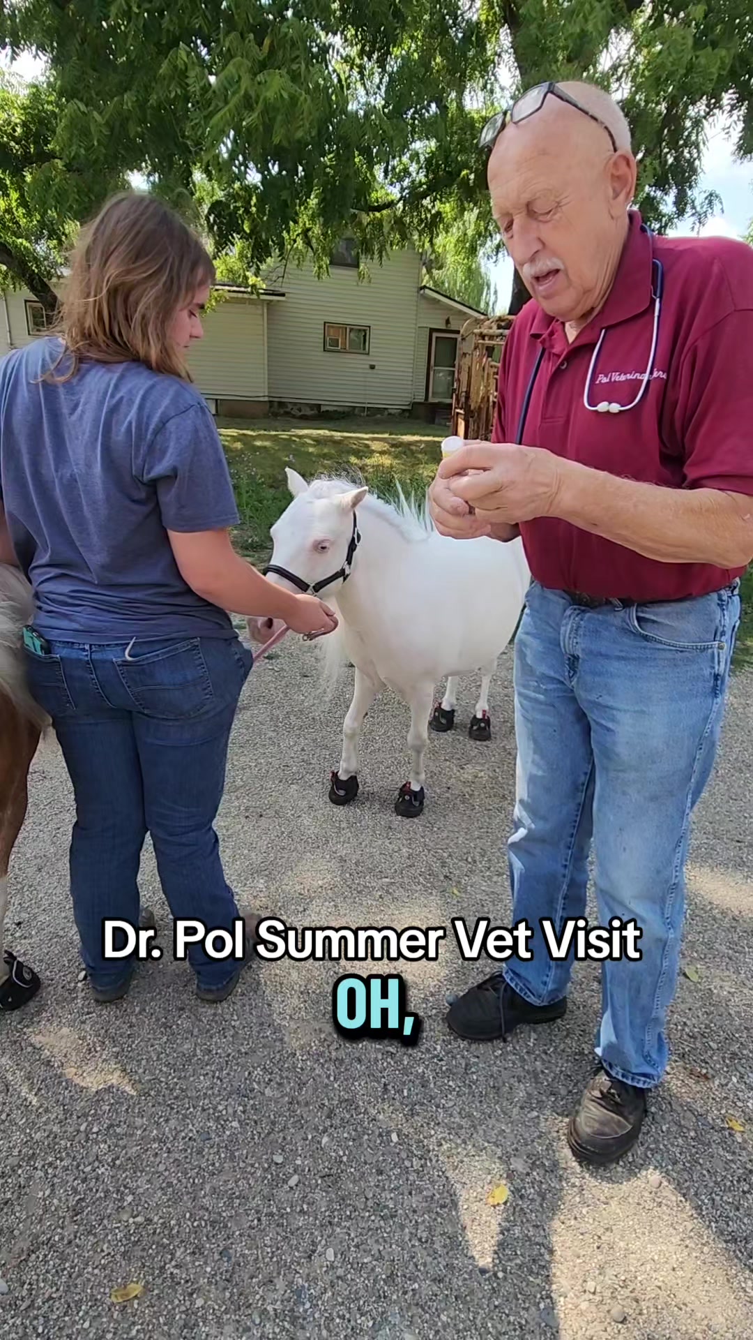 @minihorsemomandtrainer🐴🐴🐴🐴