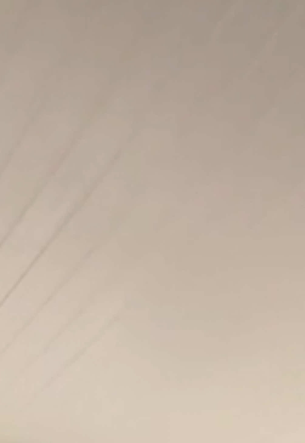 @︎ ︎ ︎ ꨄ