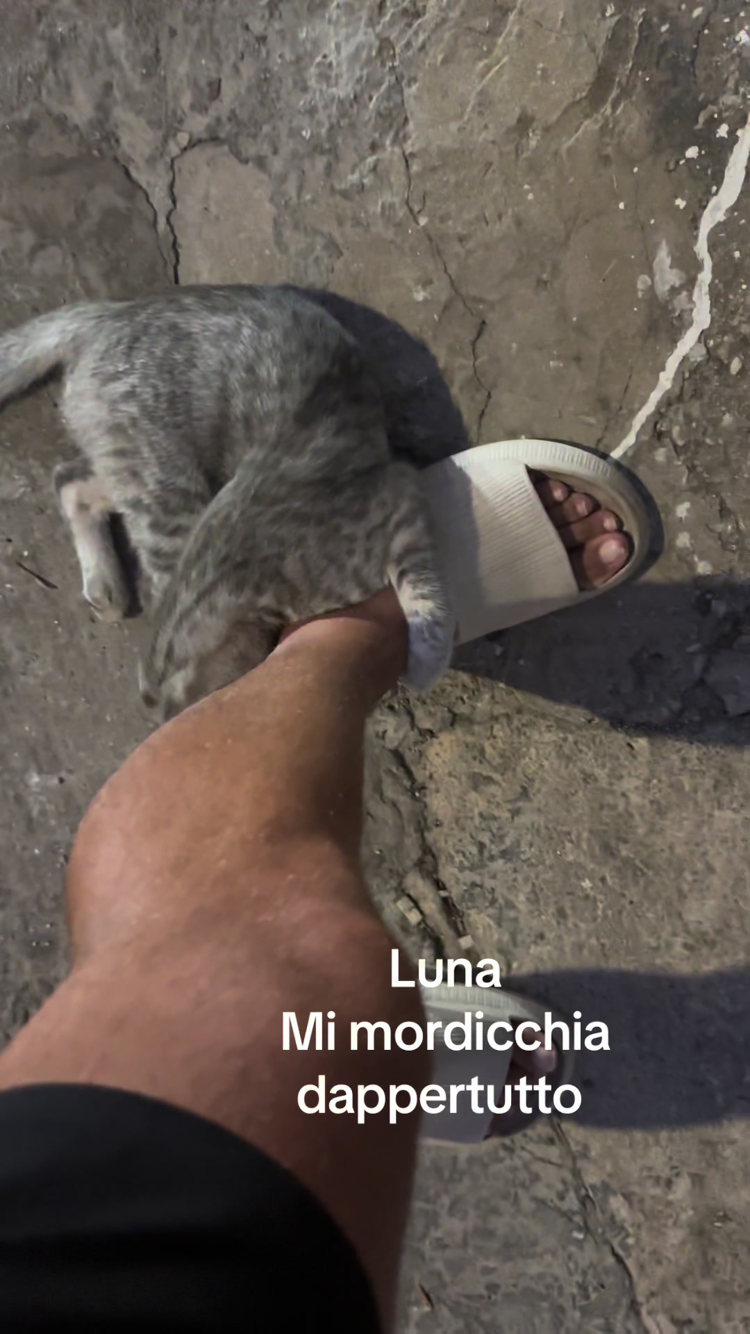 @Fabio Raspanti