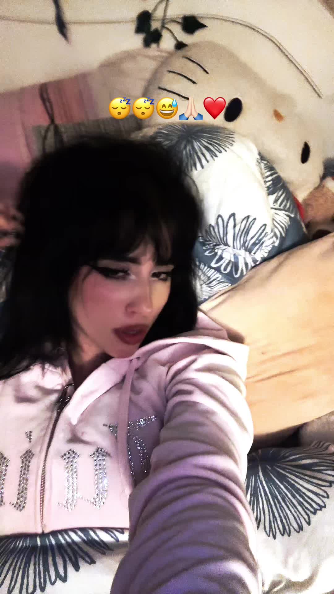 @chatdinosaure