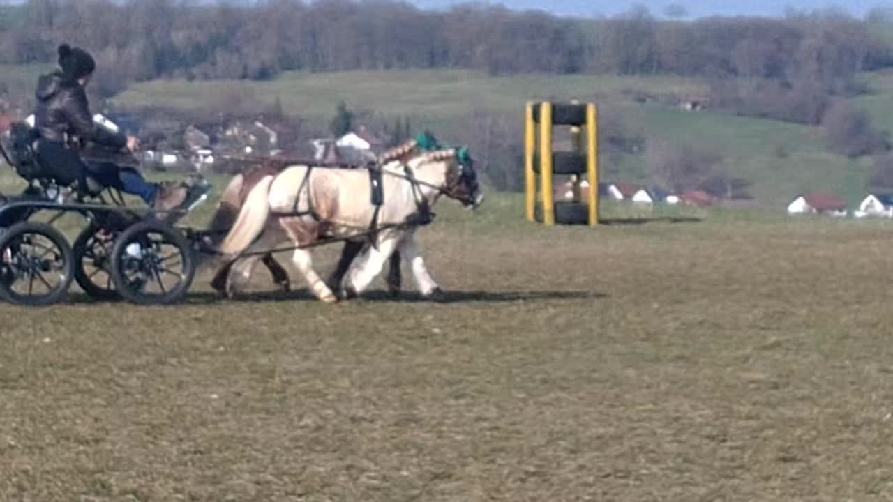 @💞🐴 Madeleine 🐴💞