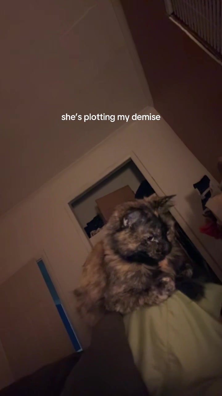 @sara_dressler