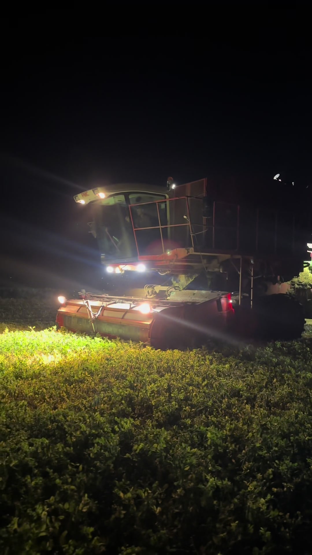 @Ćwikła agro