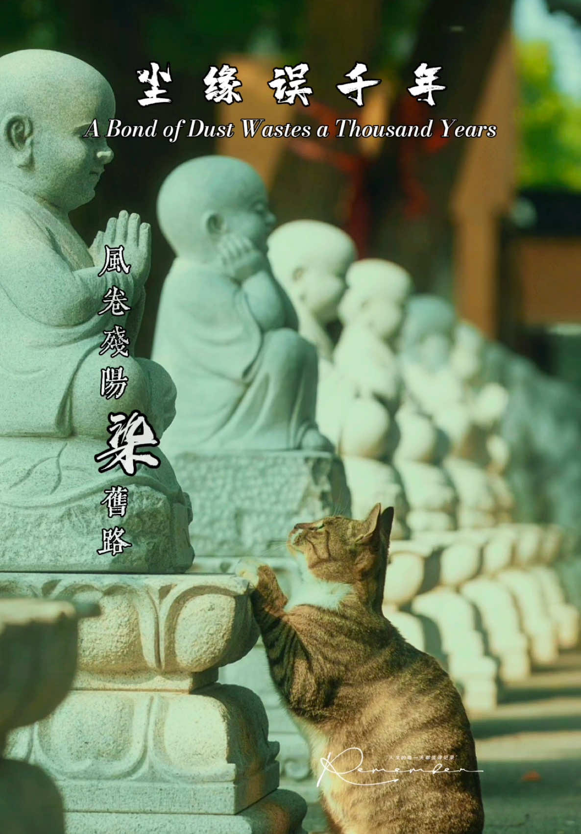 @馨悦&middot;情感音乐
