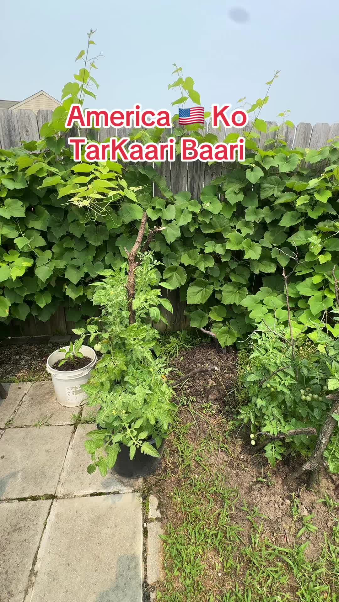 @रणजित कार्की (Realtor)
