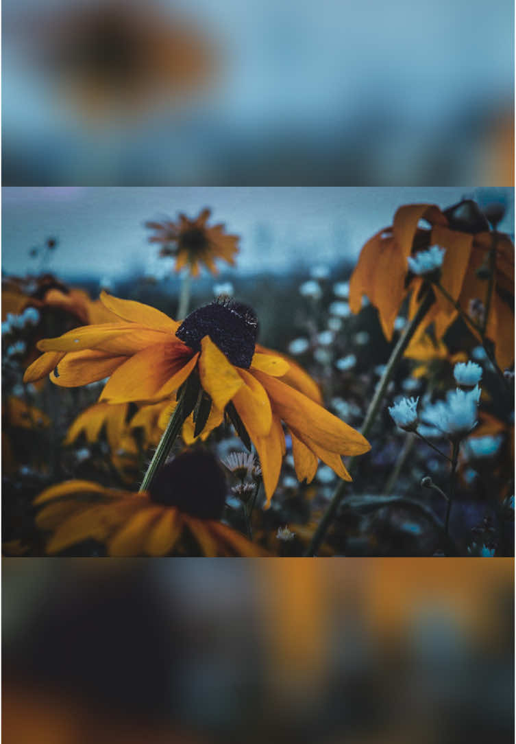 @Wunderful_Outdoors