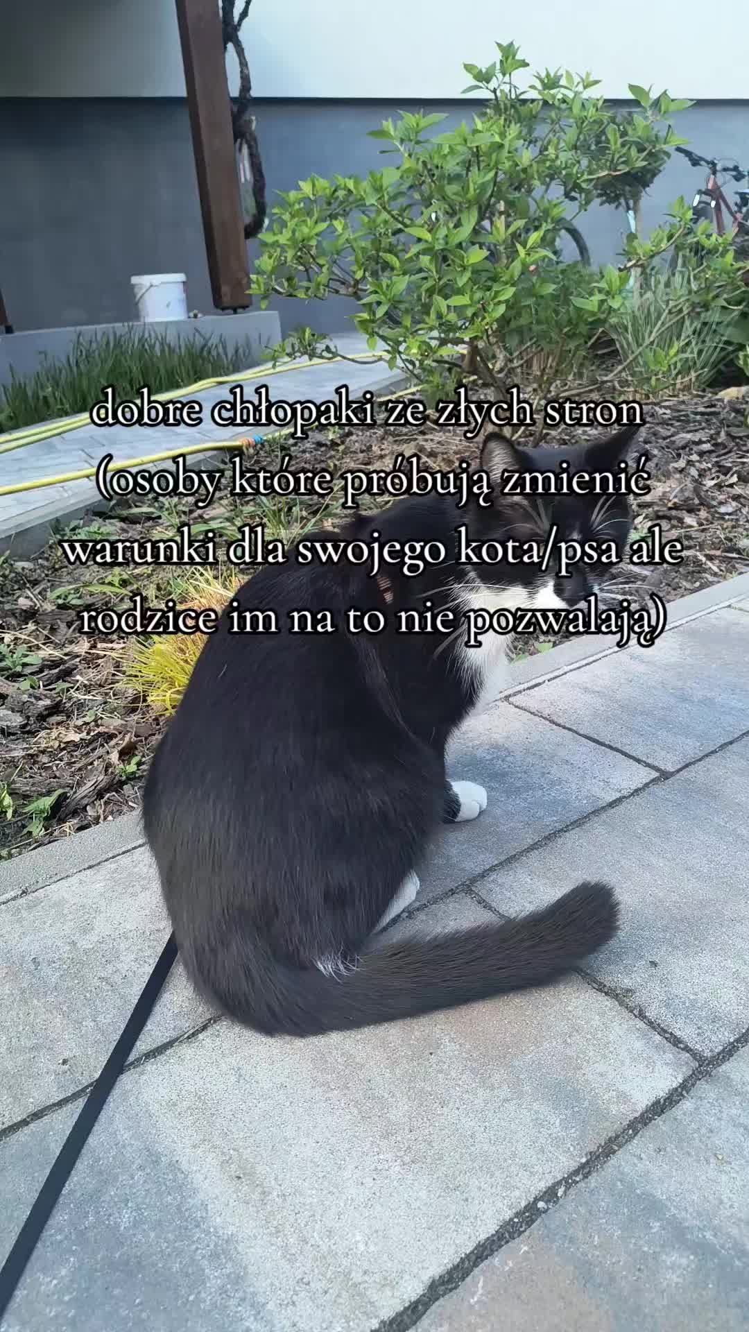 @🍓🐈&zwj;⬛𝐋𝐮𝐜𝐞𝐤/𝟏,𝟎𝐤🐈&zwj;⬛🍓