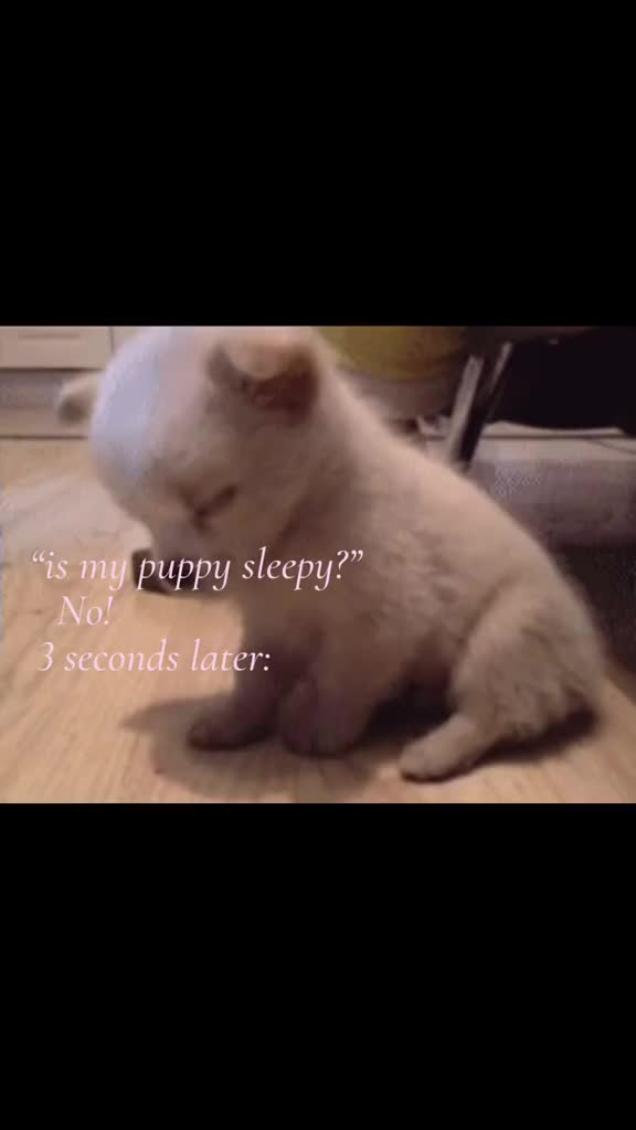 @ֶָ֢⊹𐙚