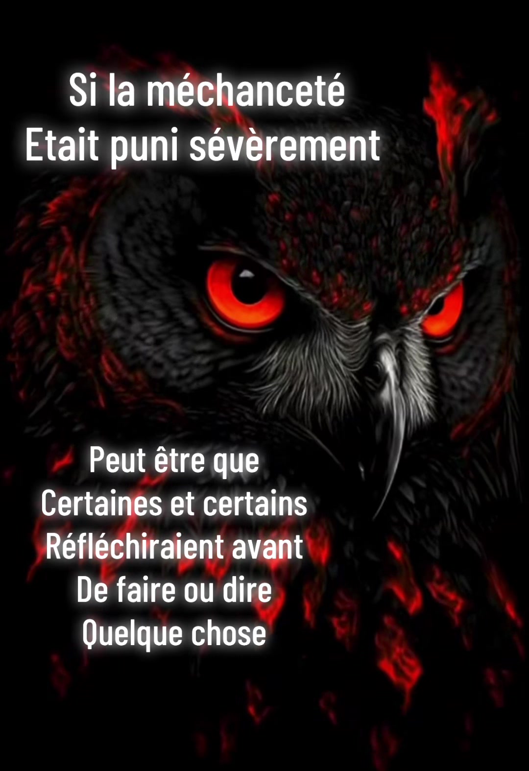 @hibou débrouillard