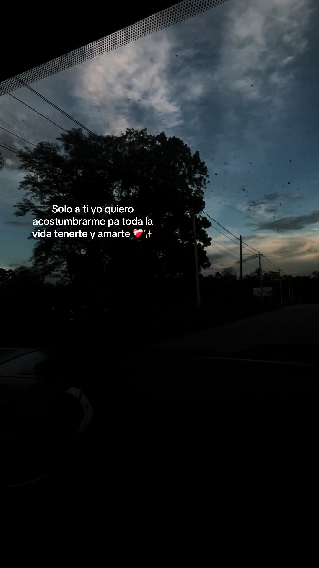 @Amy Nicol❤️🩹👑