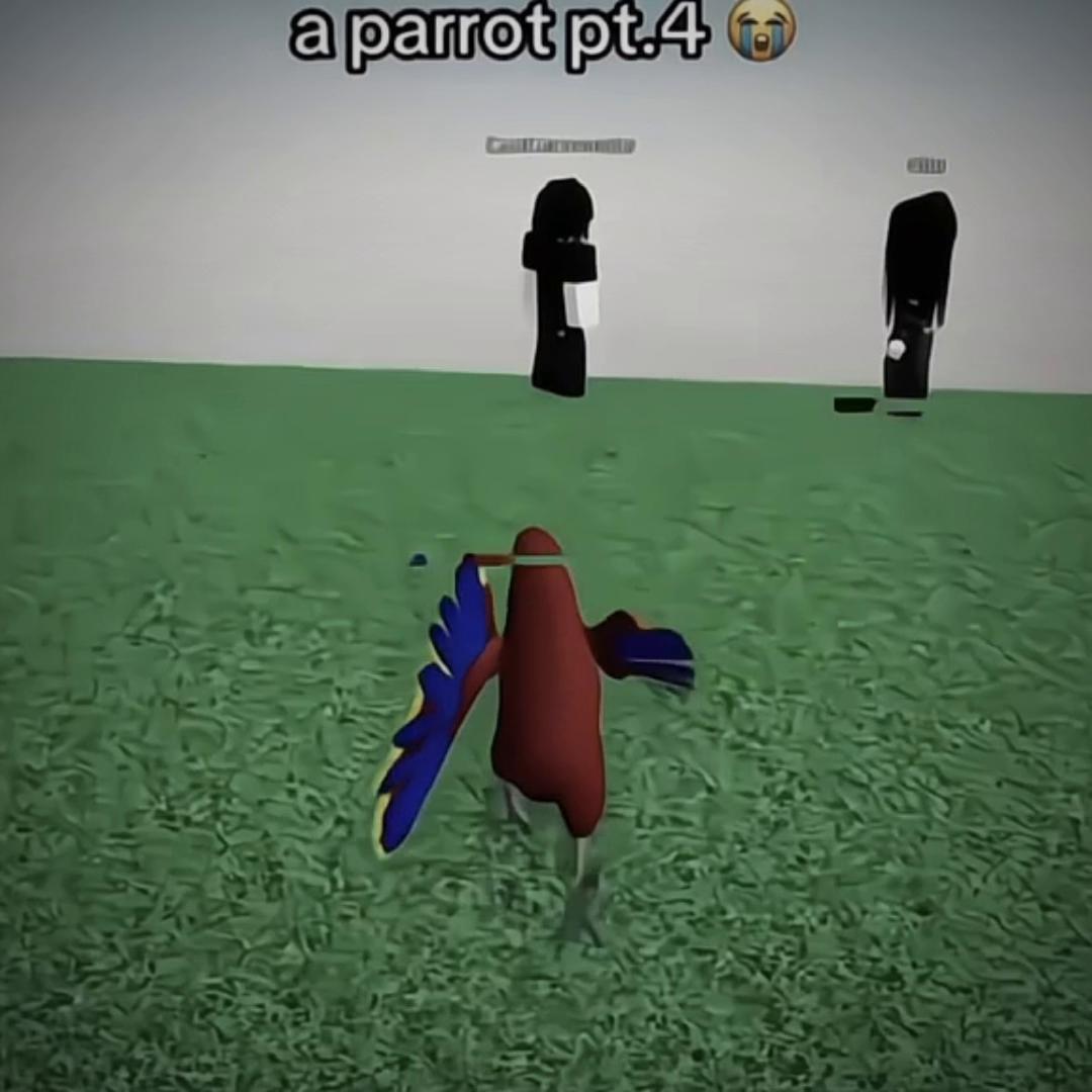 @lildin8