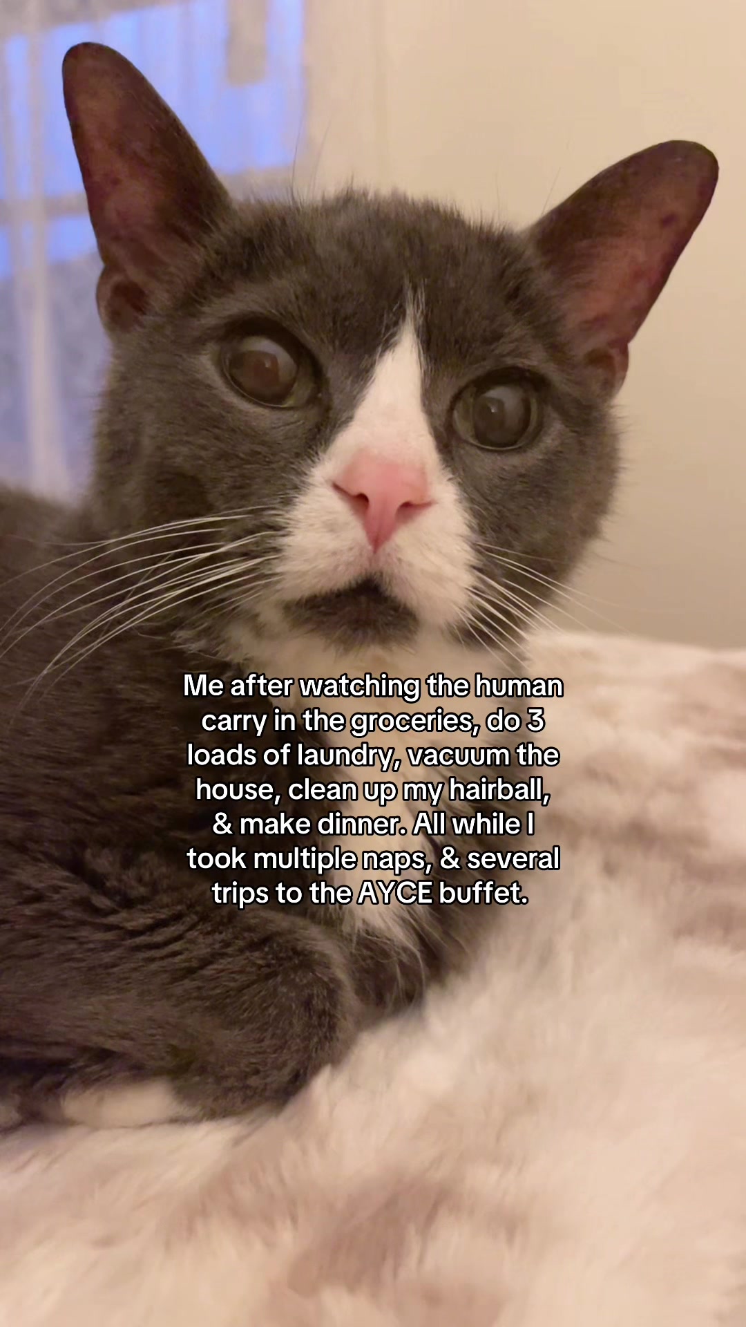 @Trixie the Tuxie