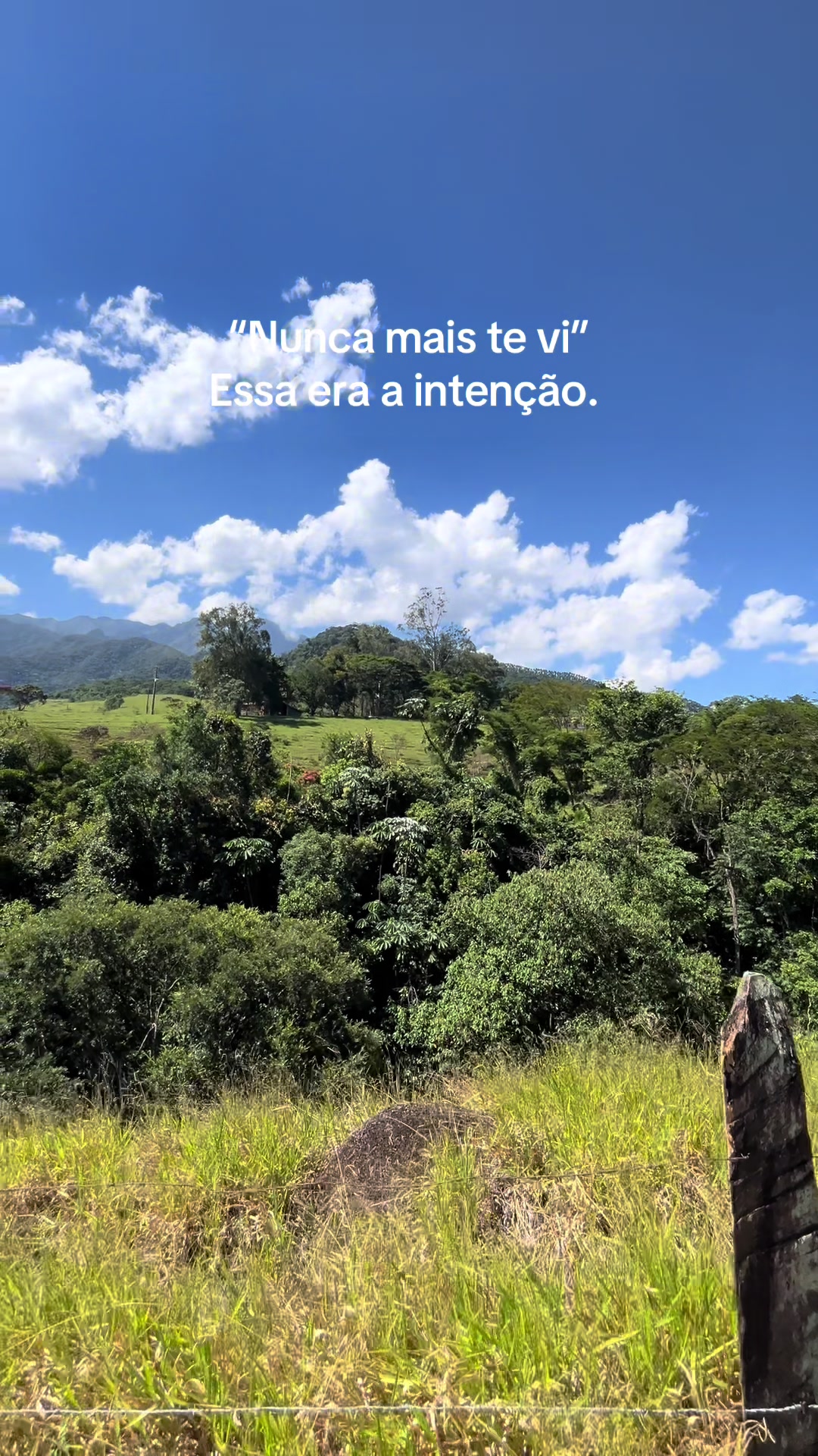 @Ca Alves