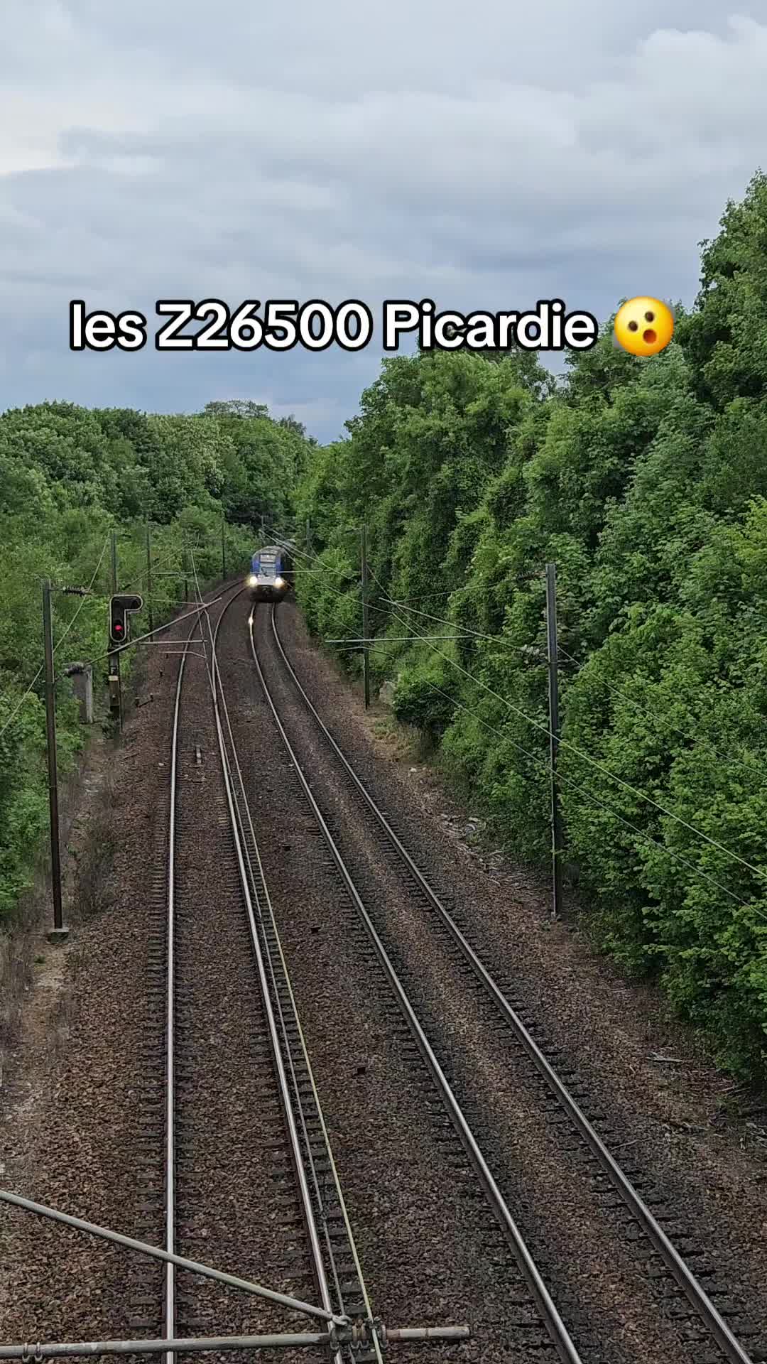 @SPT_HDF_IDF🔥‼️