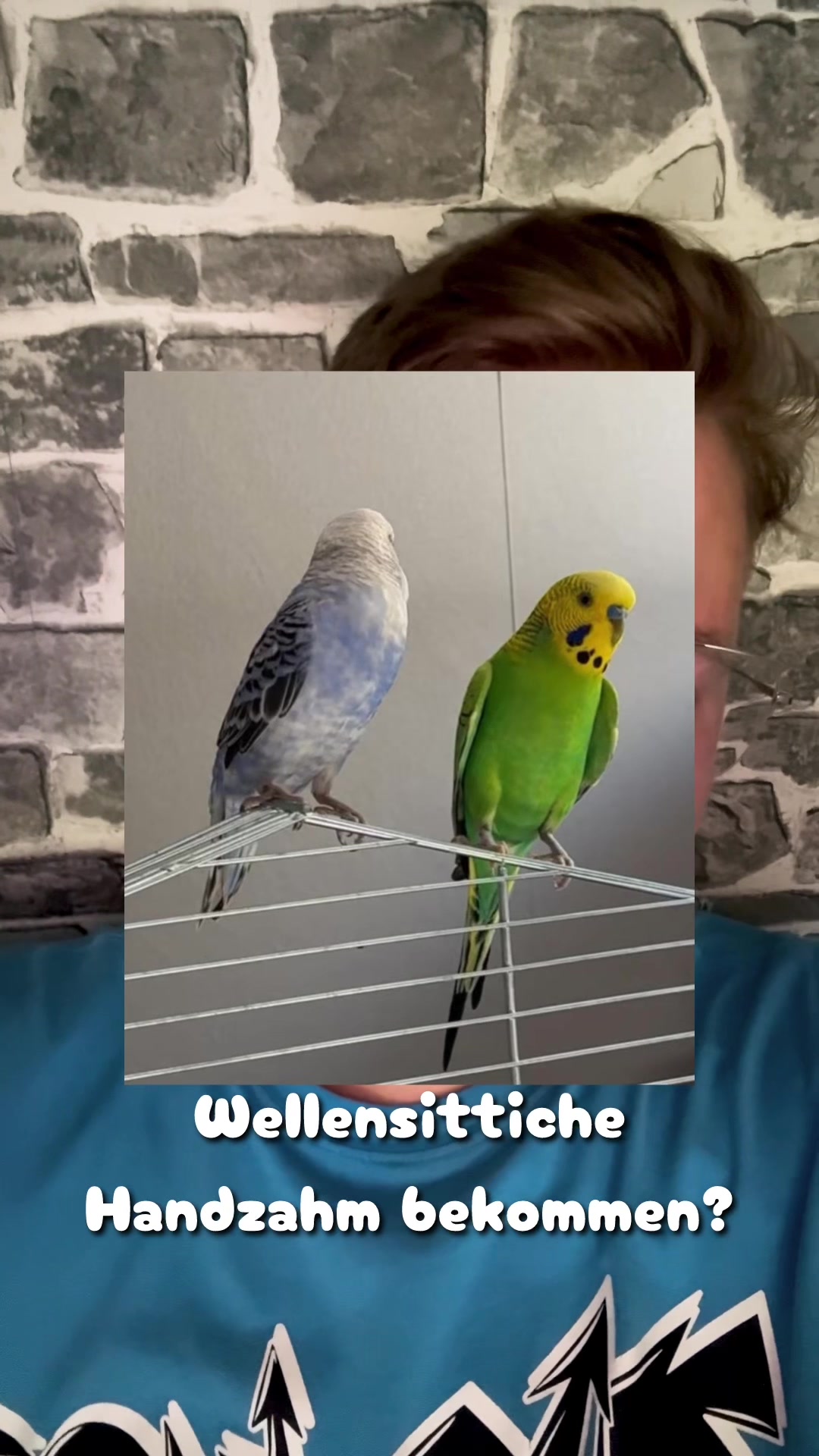 @swipher | twitch