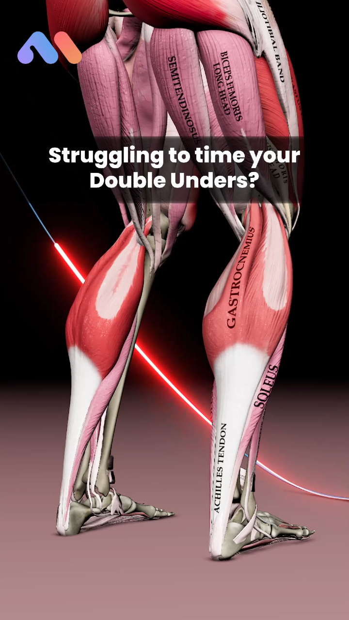 @Muscle & Motion