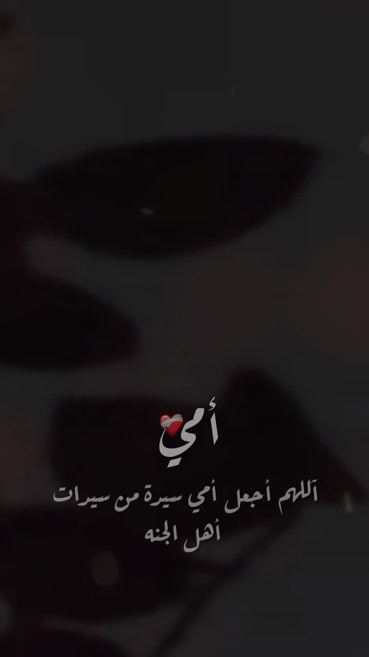 @Firouz Alashkar