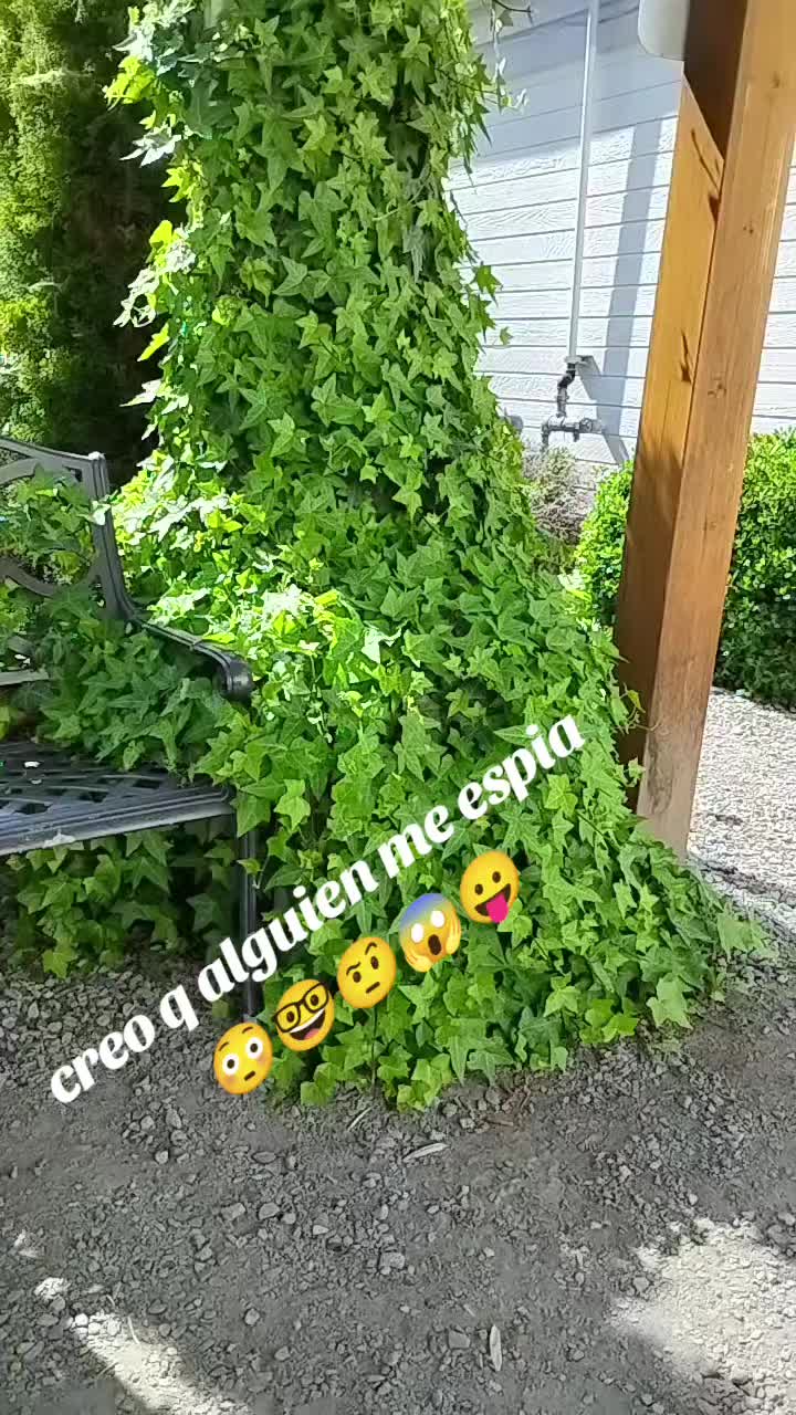 @LorenaSecond🎤💍💄