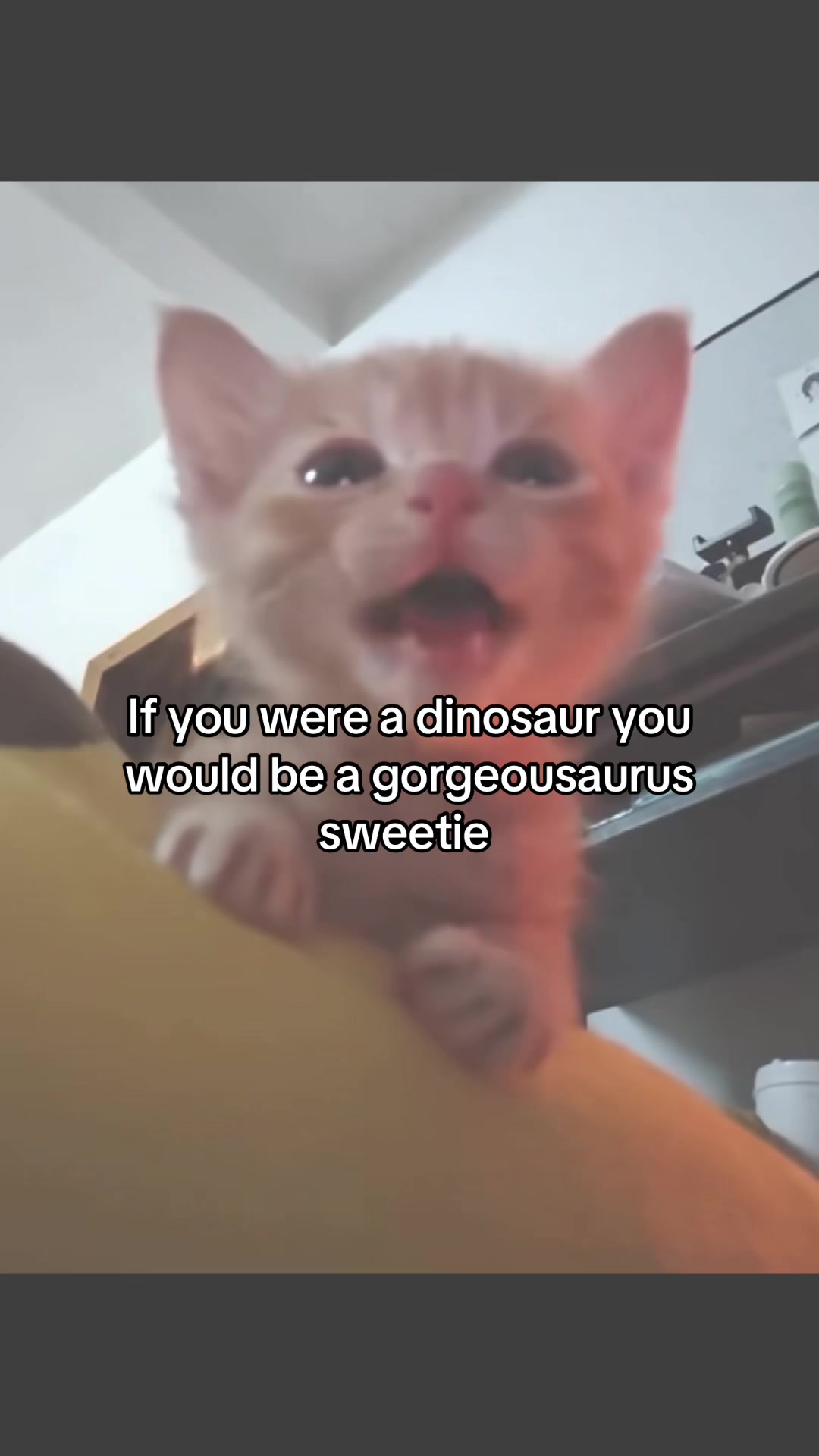 @Molly