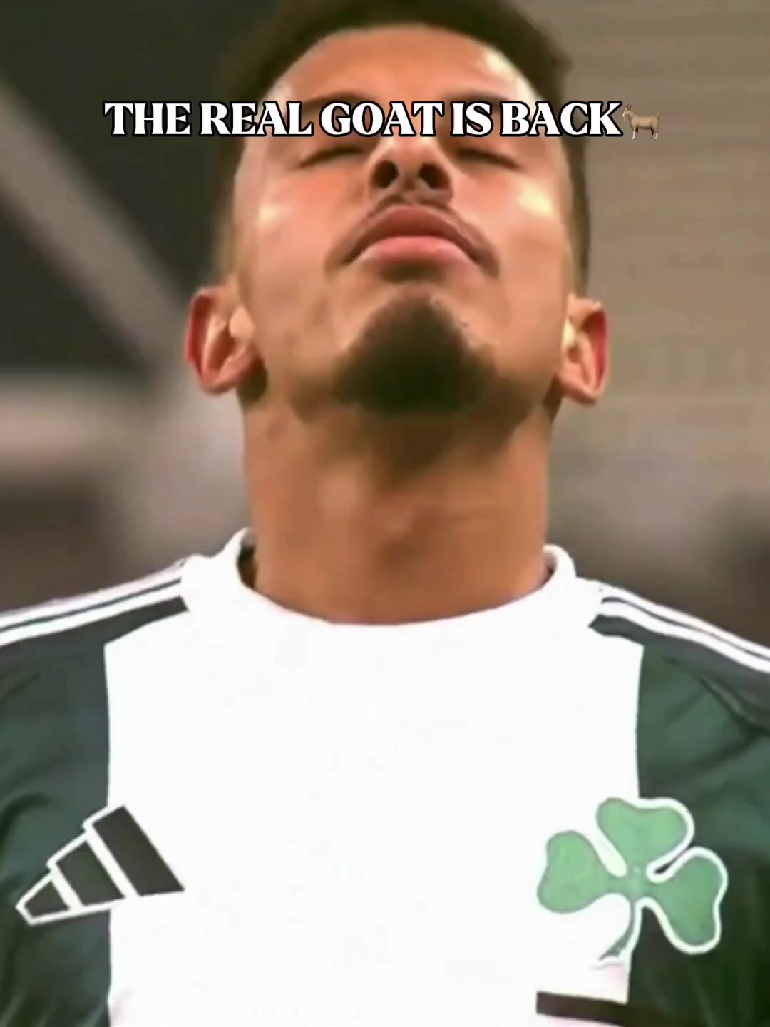 @☘️⭐️⭐️⭐️⭐️⭐️⭐️⭐️☘️