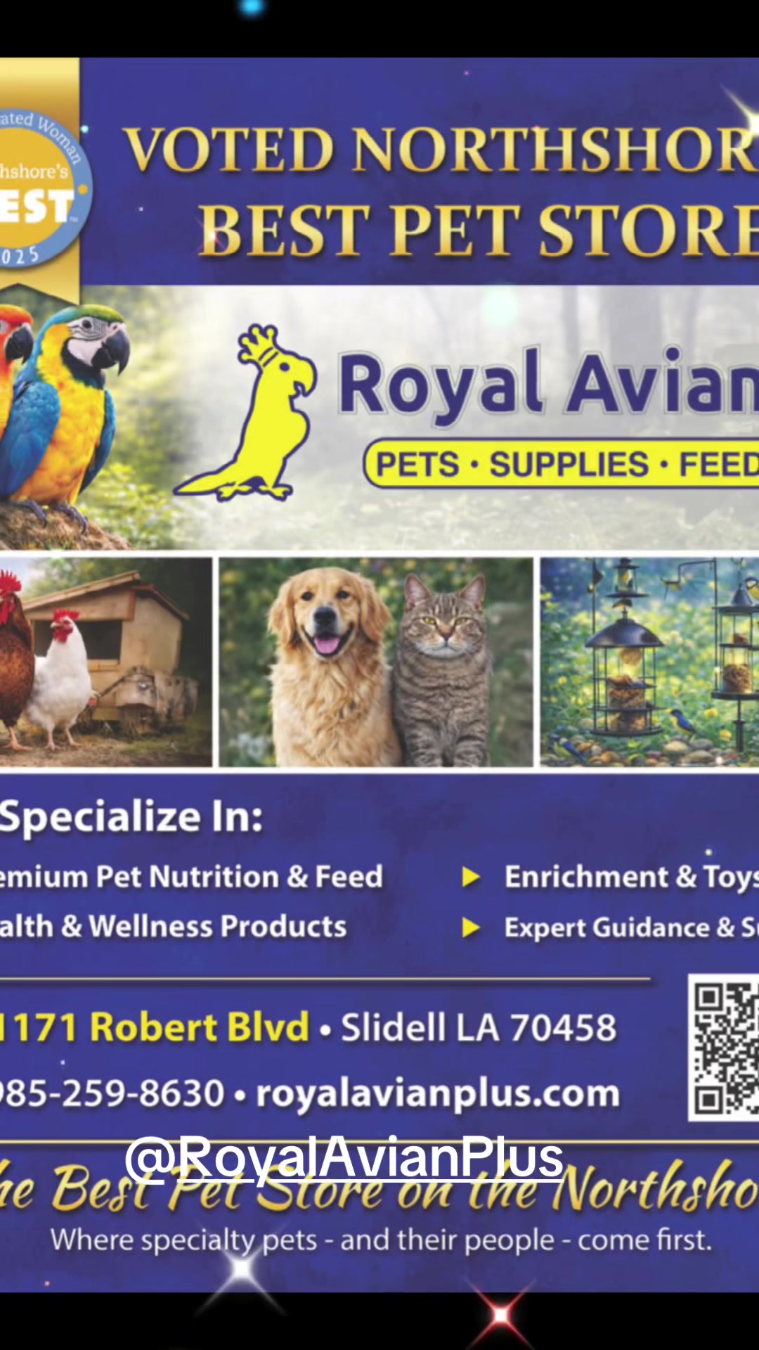 @Royal Bird Lady 💙
