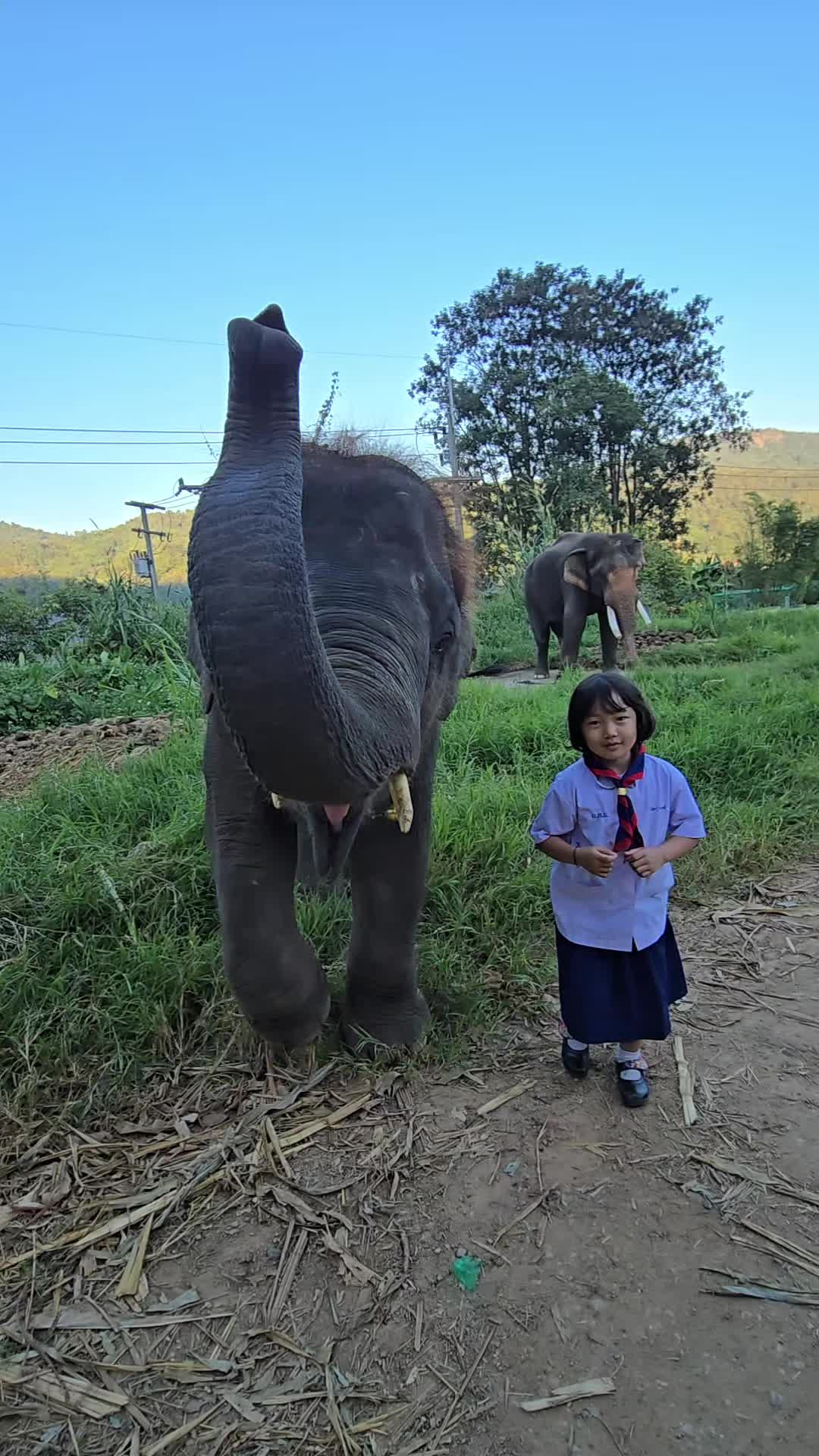 @ควาญแดง พลายภูพิงค์