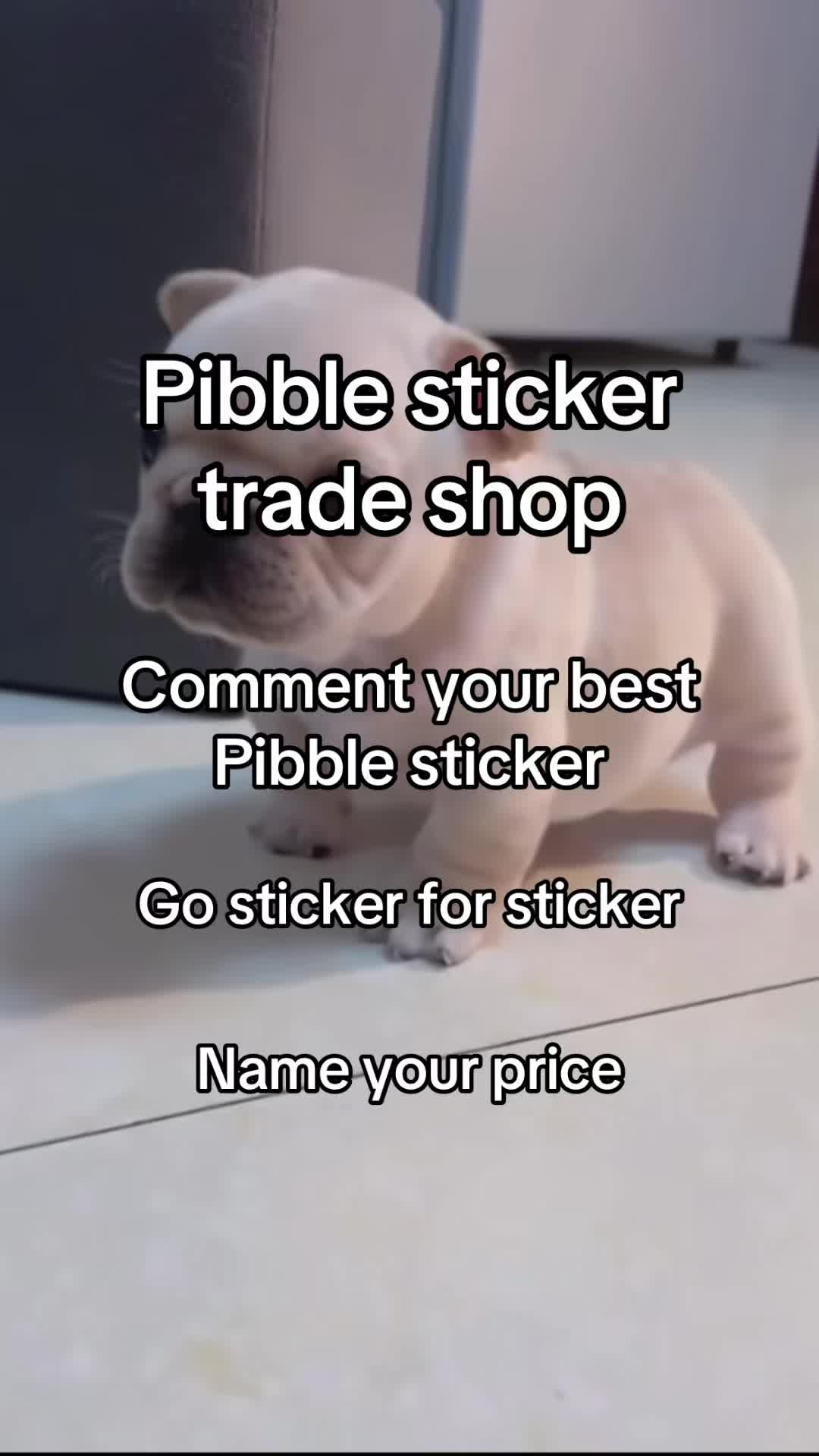 @paw_clips0