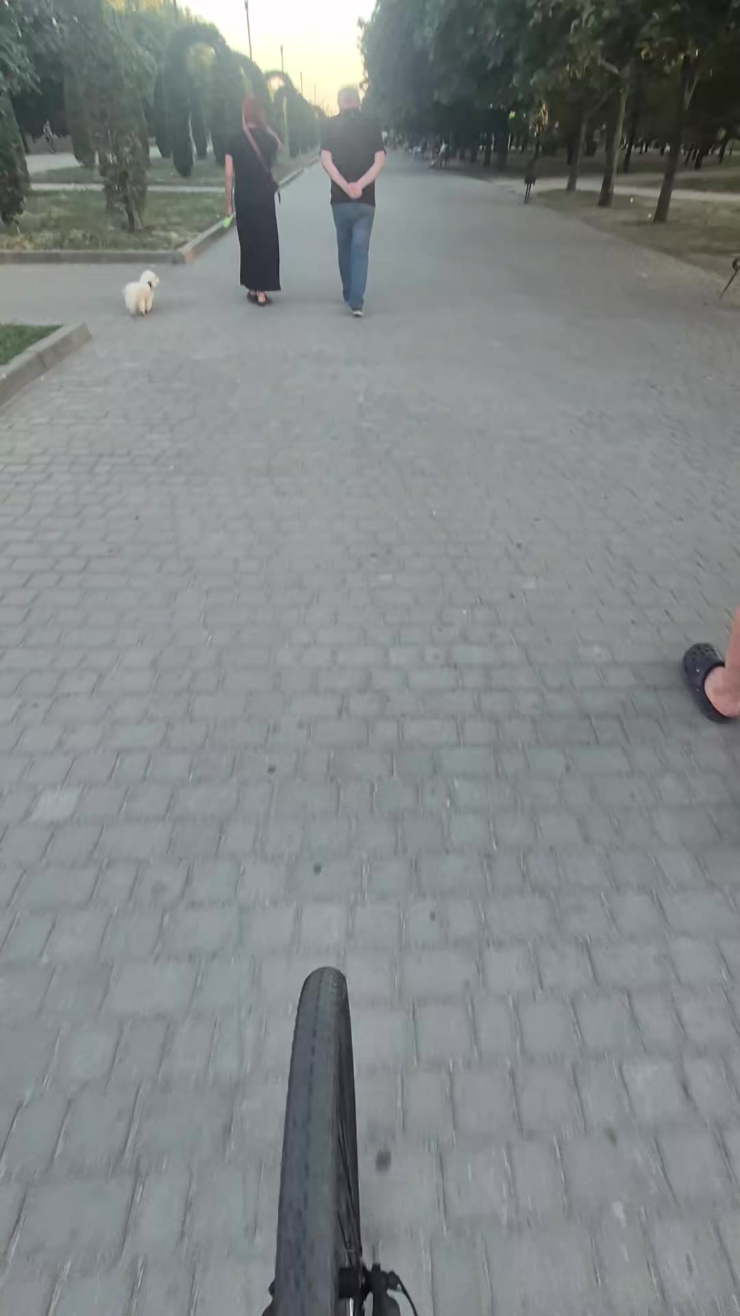 @𝗿𝗲𝗻𝘃𝗼𝘅