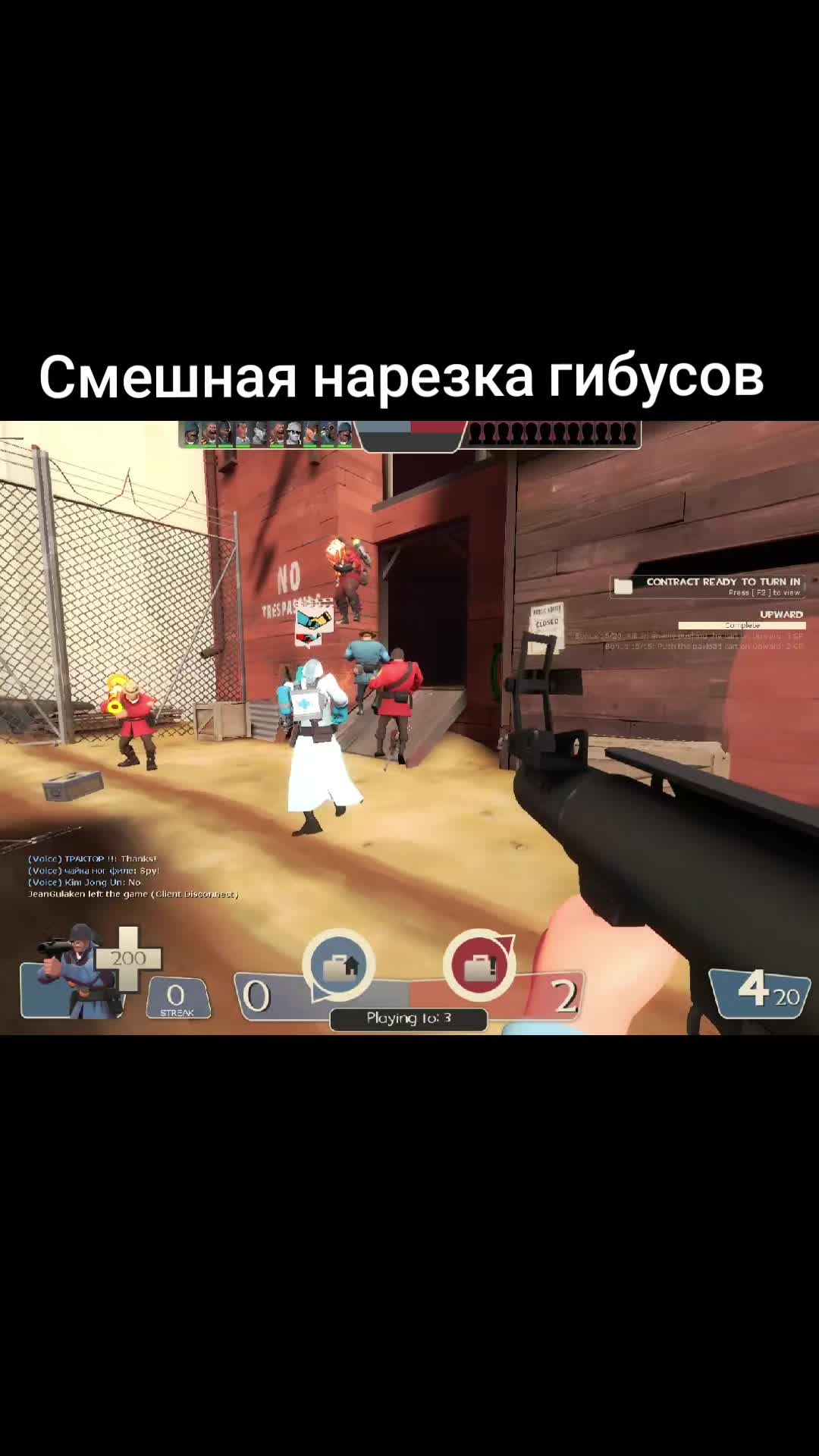 @лапушня