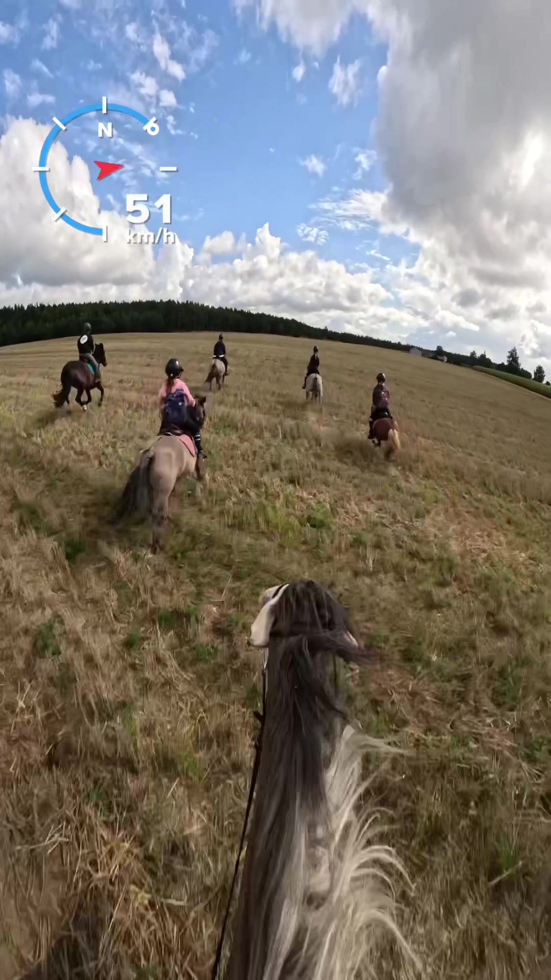 @Stajnia Miejsce Rozwoju