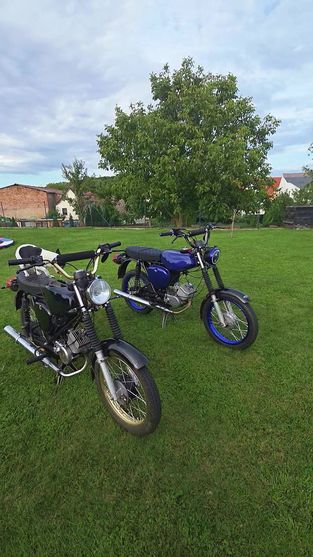 @Halbschalen_schonny