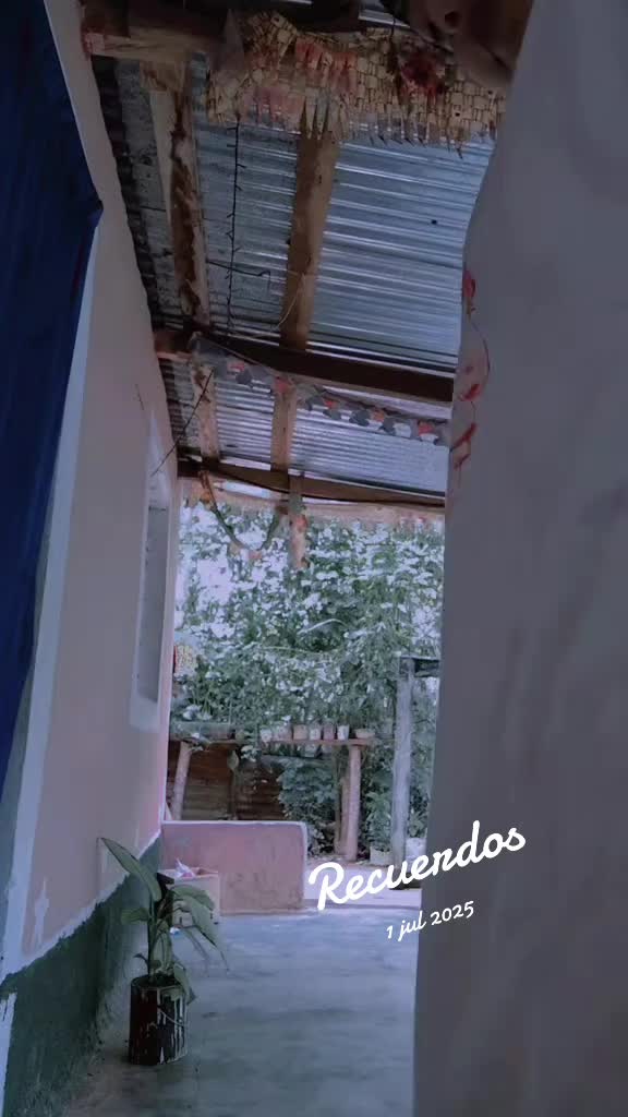 @🇭🇳👑Yamileth 😭💔🇭🇳🦿💪