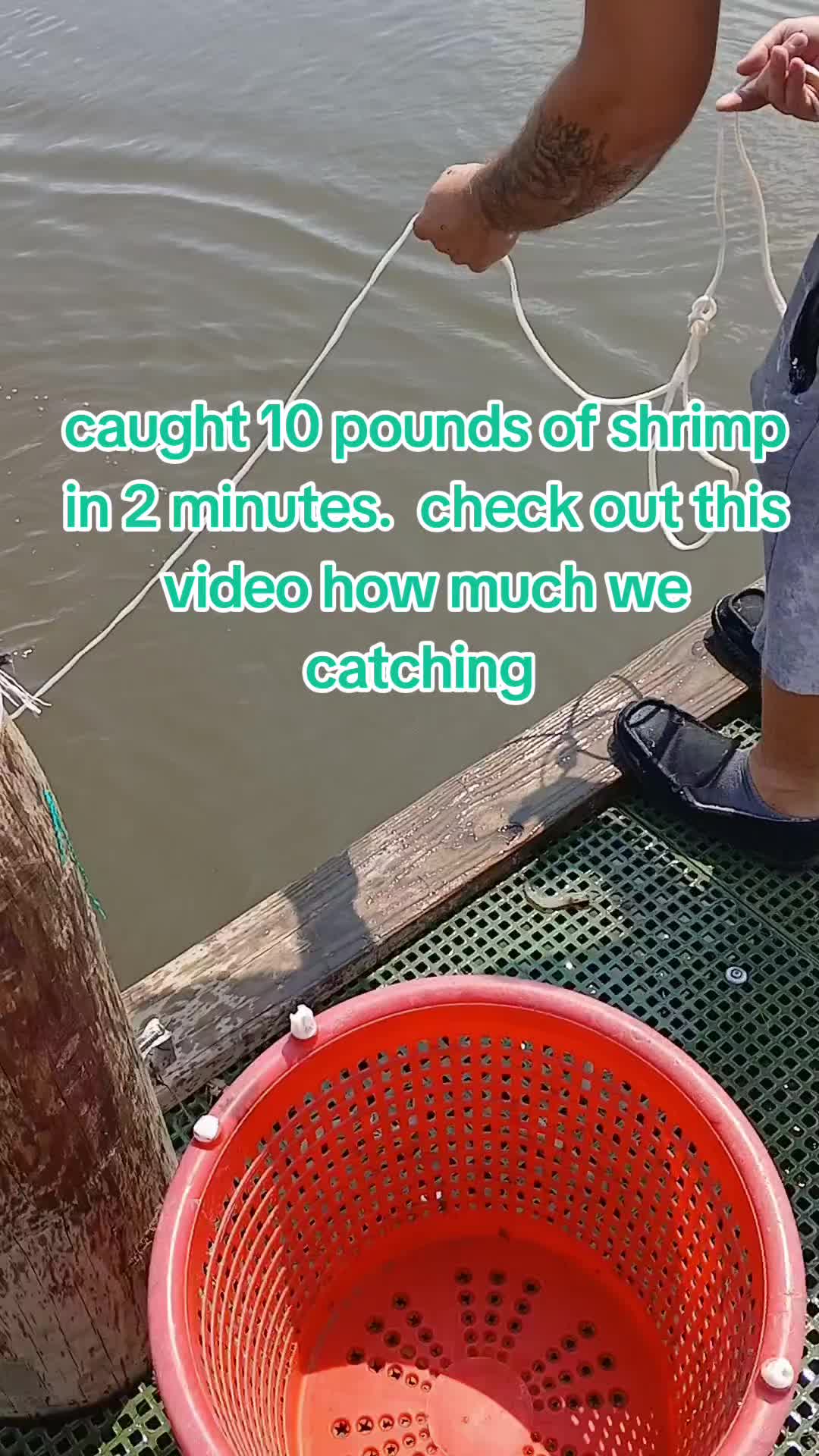 @SALTWATER SAB OUTDOORS