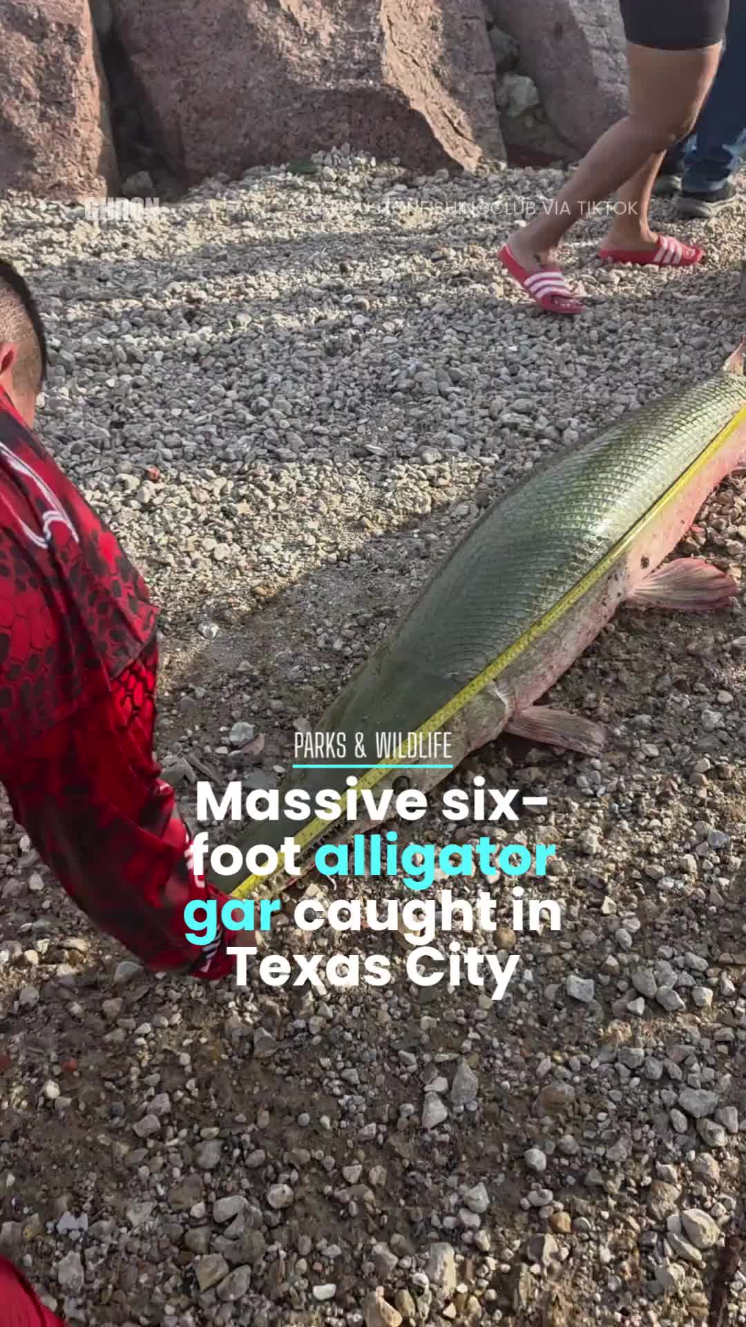 @Chron | Texas news, culture