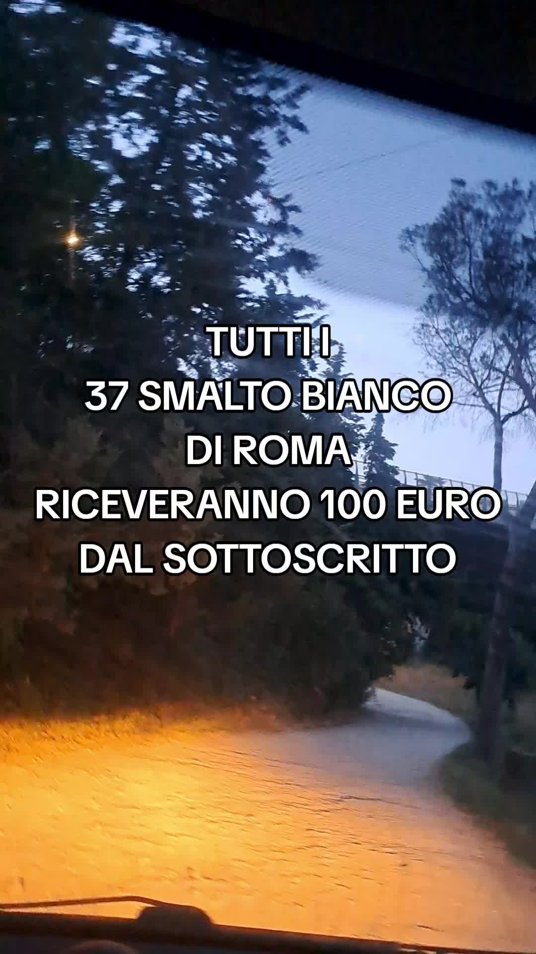 @Mario Vassecchi