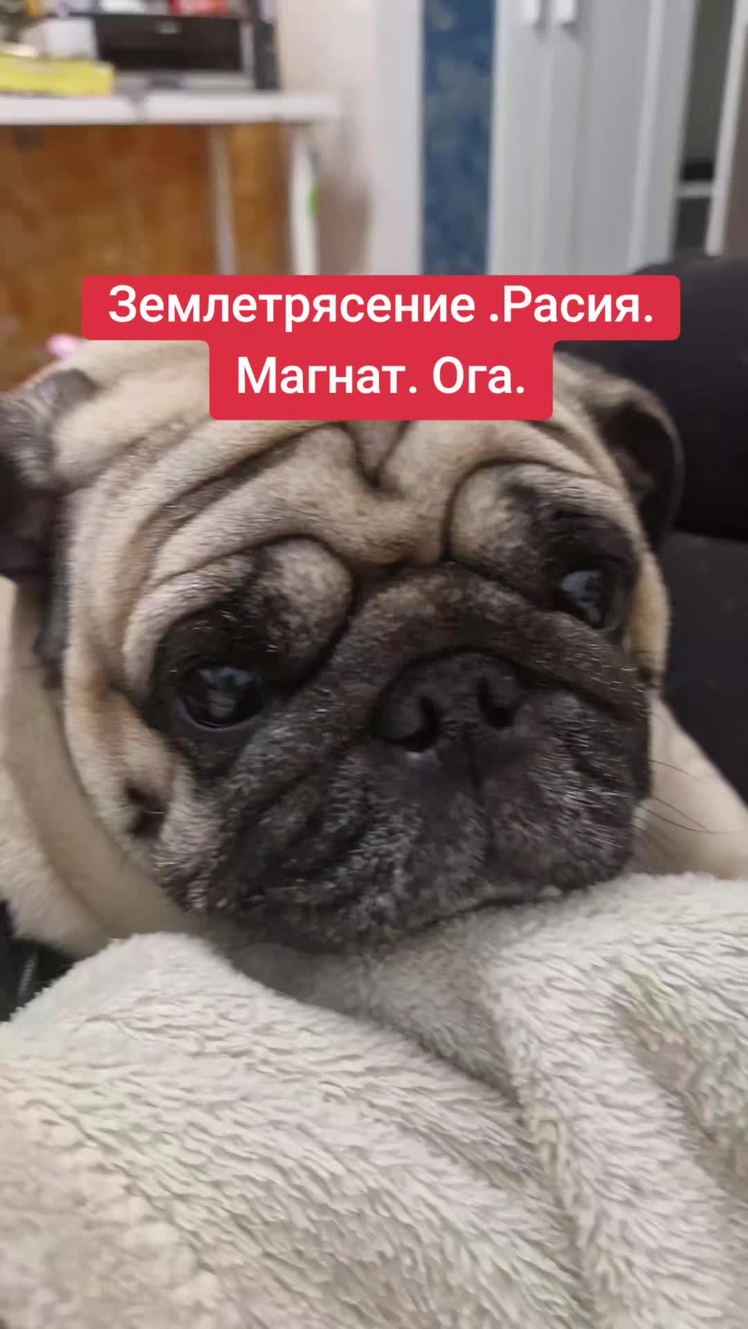 @ГЛЕНН АНГЕЛ ДЕМОН